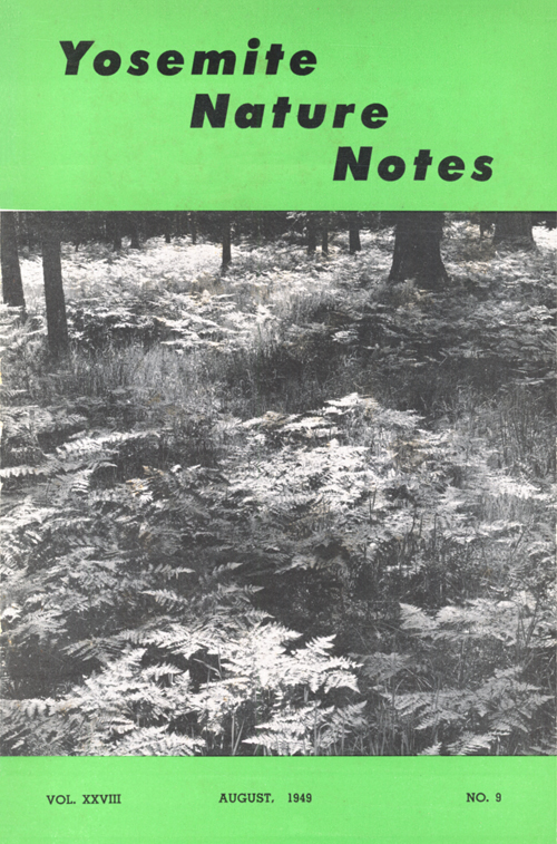 issue cover