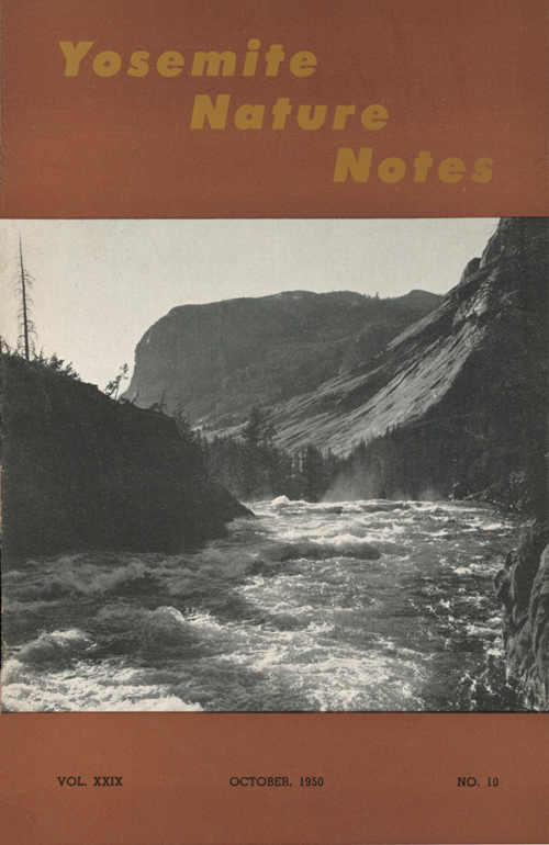 issue cover
