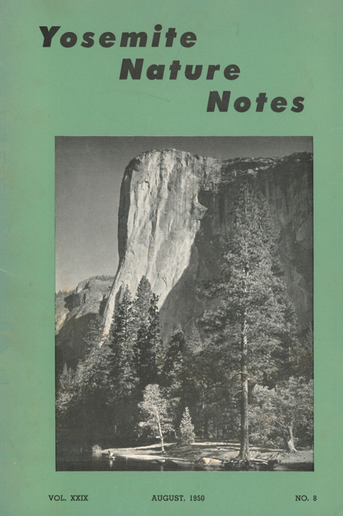 issue cover