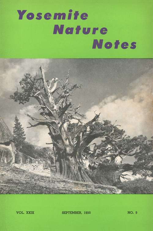 issue cover