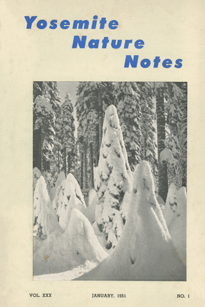 issue cover