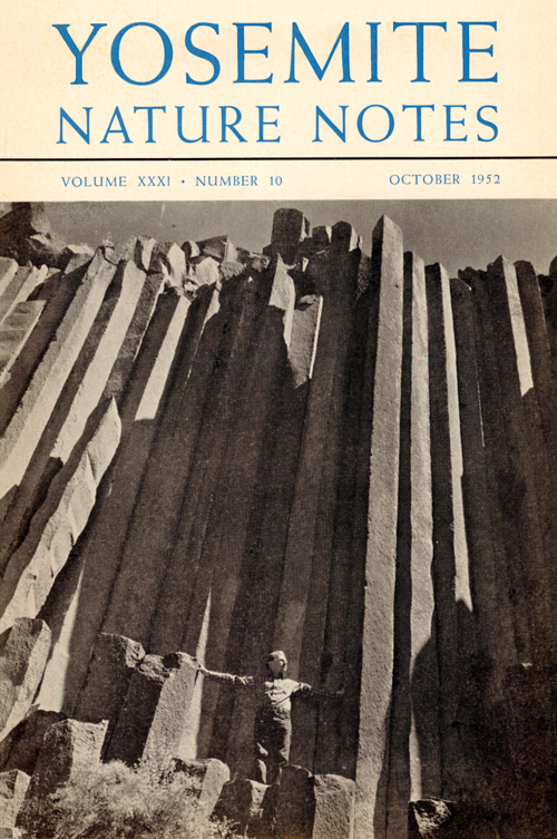 issue cover