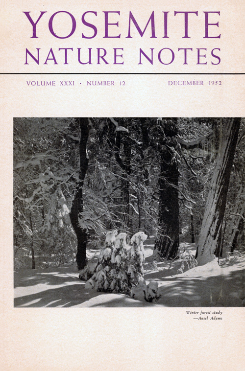 issue cover