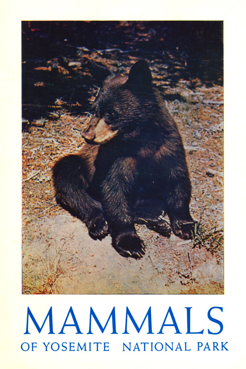 issue cover