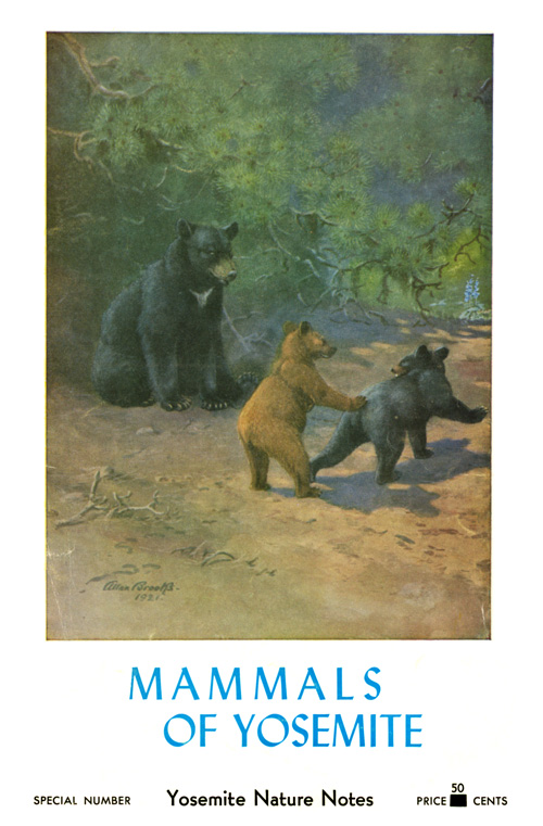 issue cover