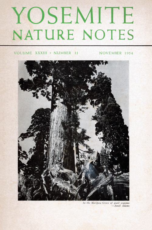 issue cover