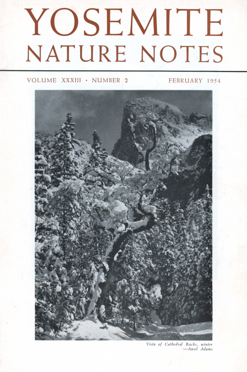 issue cover