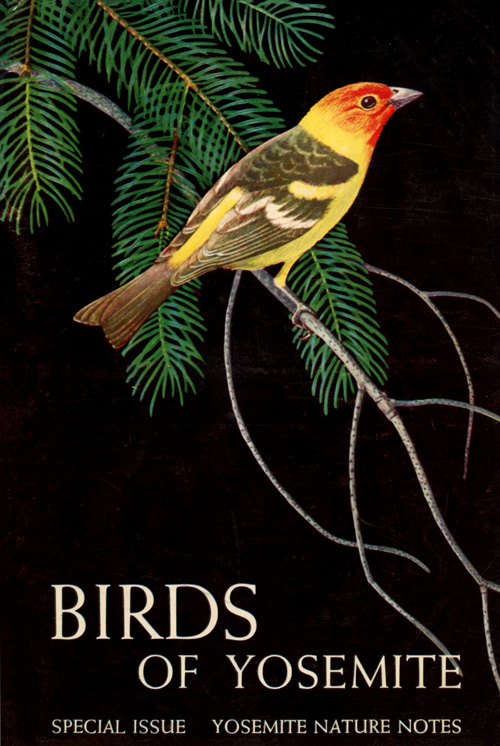 issue cover