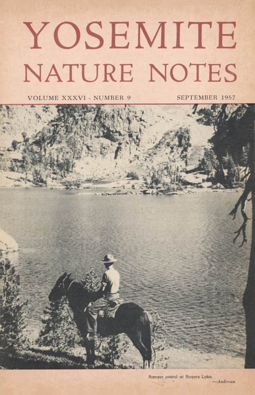 issue cover
