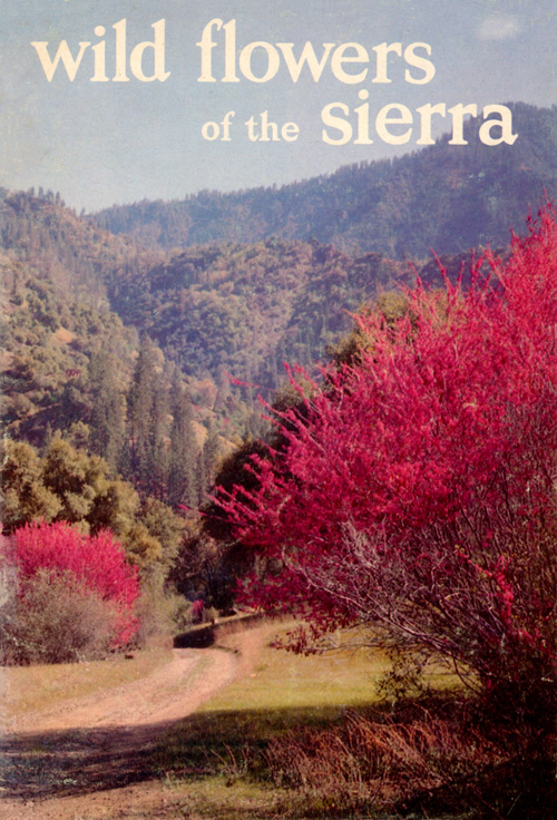 issue cover