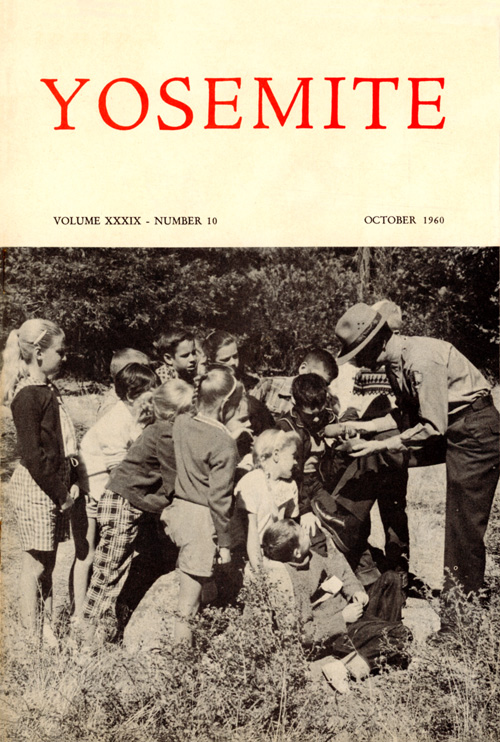 issue cover