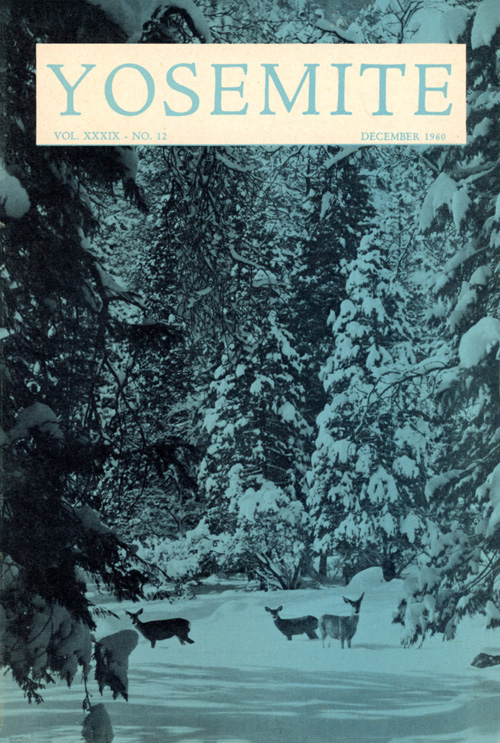 issue cover