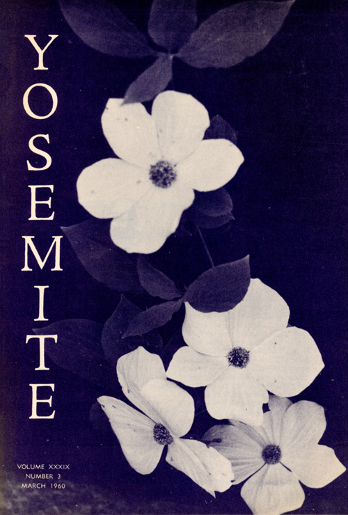 issue cover