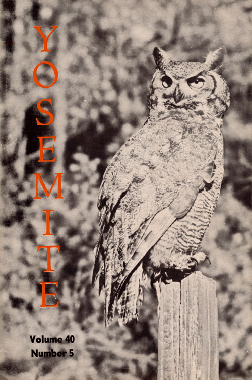 issue cover