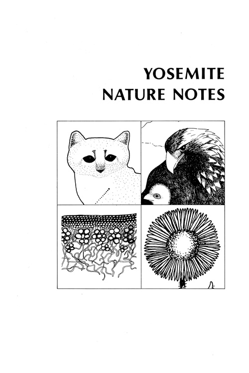 issue cover