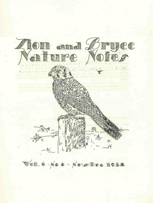 issue cover