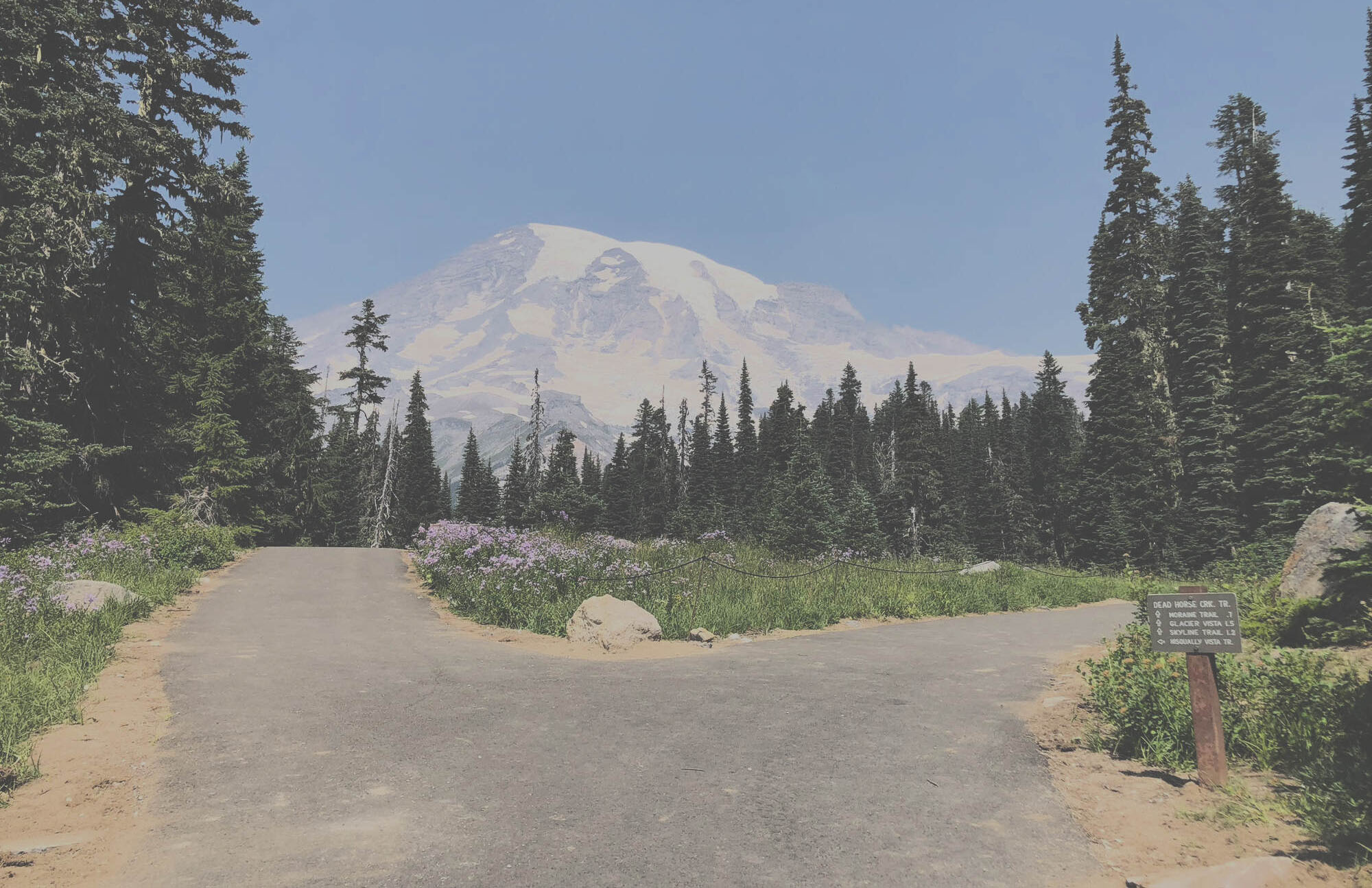 Hiking Trail, Mount Rainier in background