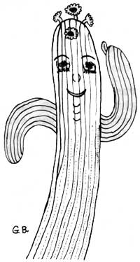 saguaro