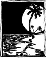 sketch of palm tree with moon castingshadow on water