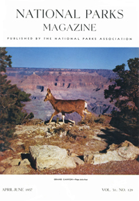 magazine cover