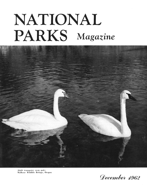 magazine cover