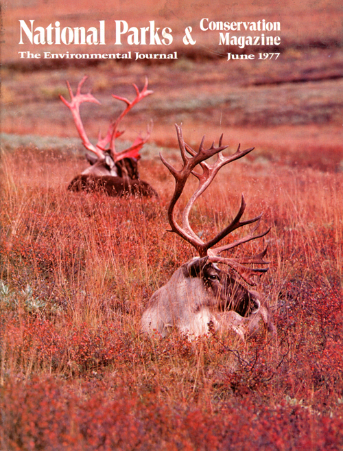 magazine cover
