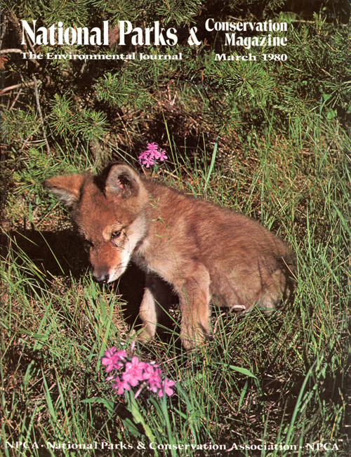magazine cover