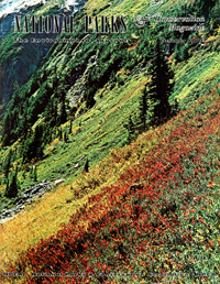 magazine cover