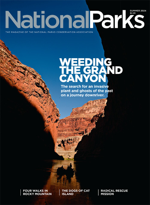magazine cover