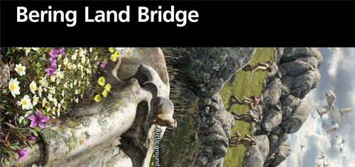 brochure cover
