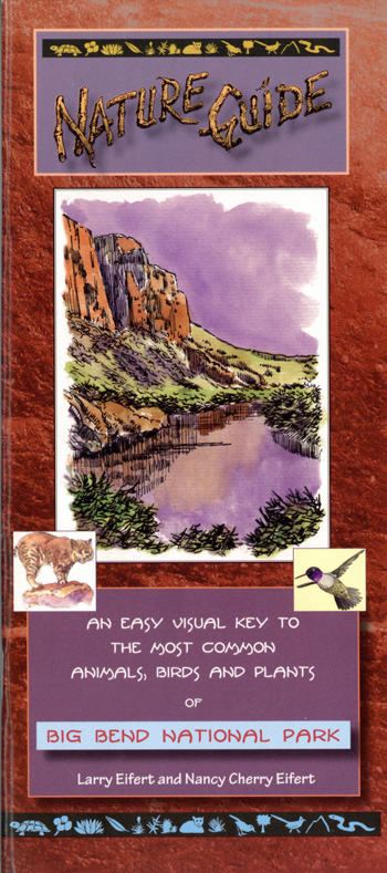 brochure cover