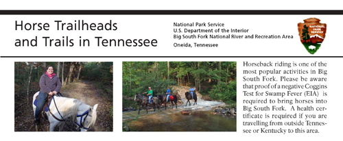 brochure cover