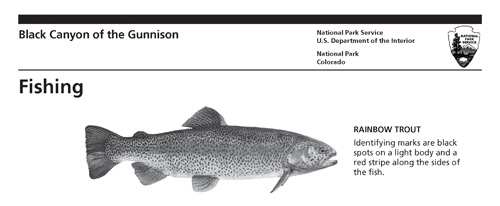 brochure cover