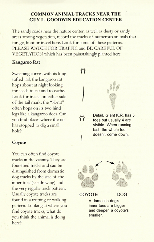 brochure cover