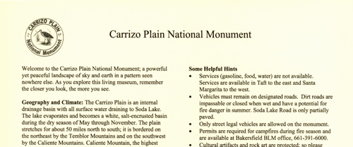 brochure cover