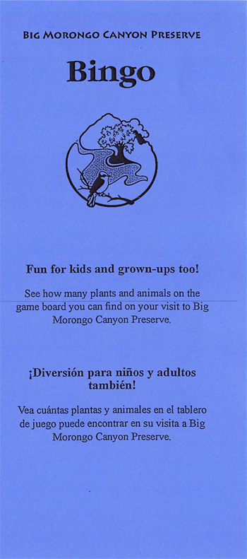 brochure cover