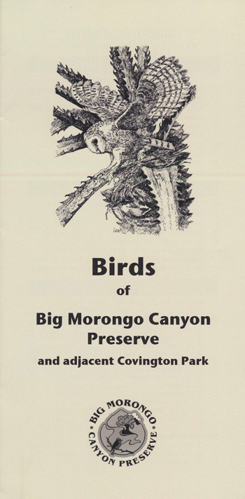 brochure cover