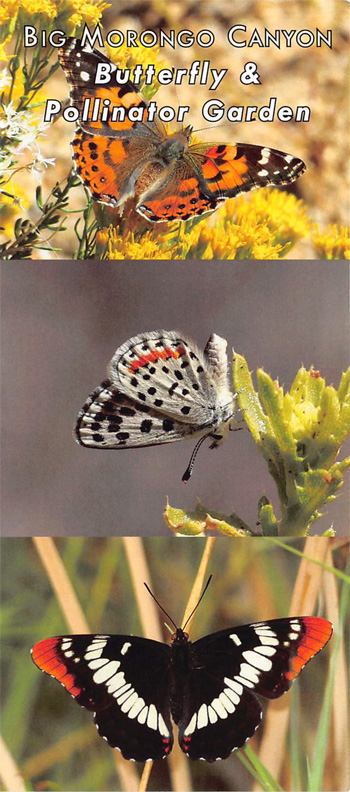 brochure cover