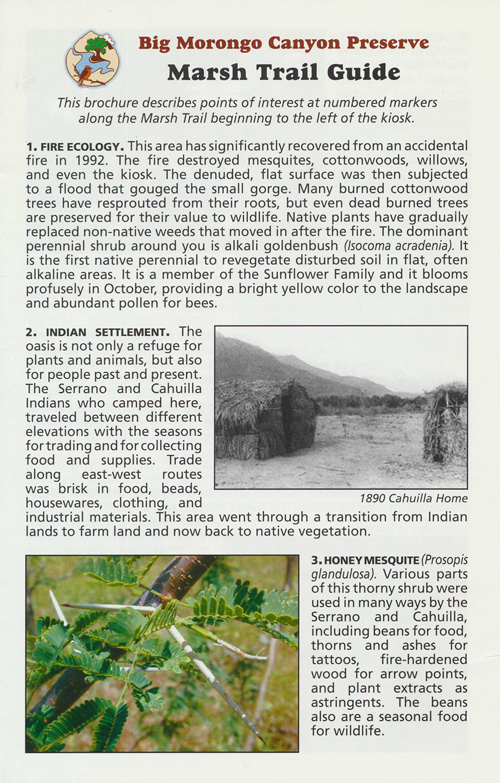 brochure cover
