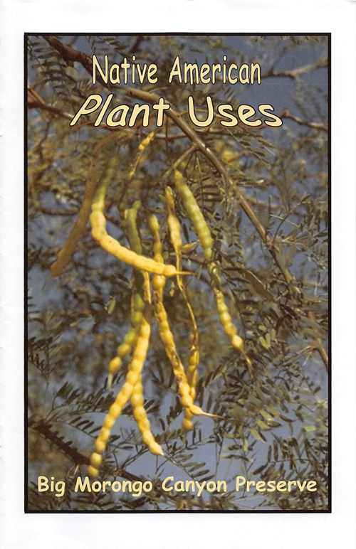 brochure cover