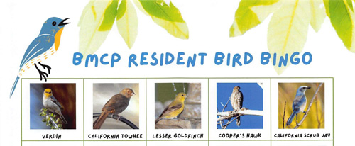 brochure cover