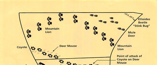 brochure cover