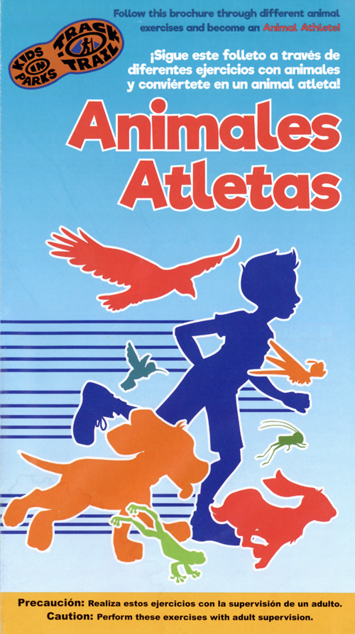 brochure cover