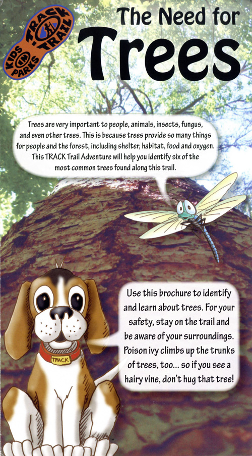 brochure cover