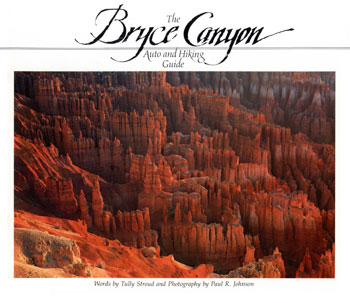 brochure cover