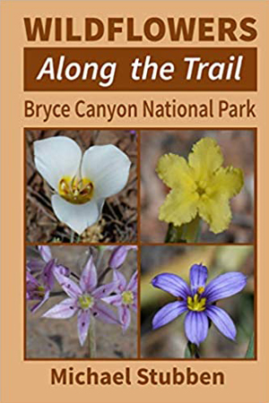 brochure cover