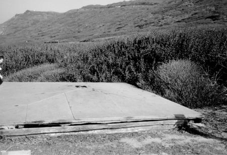 metal corrosion of hatch