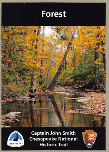 card cover