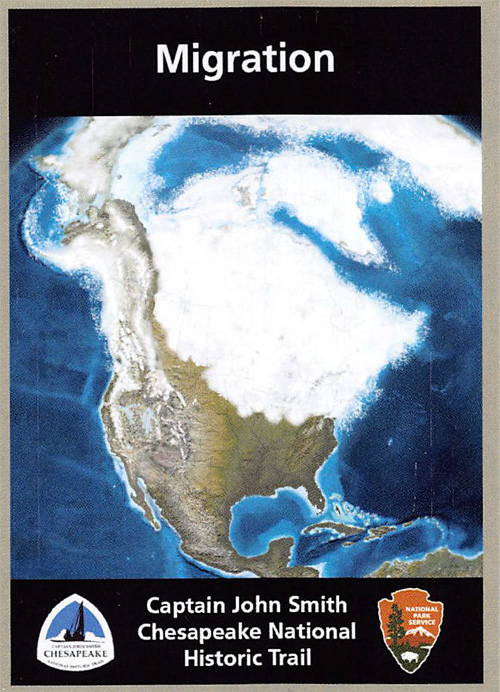 card cover