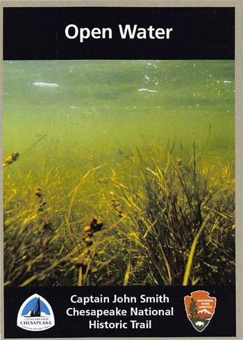 card cover